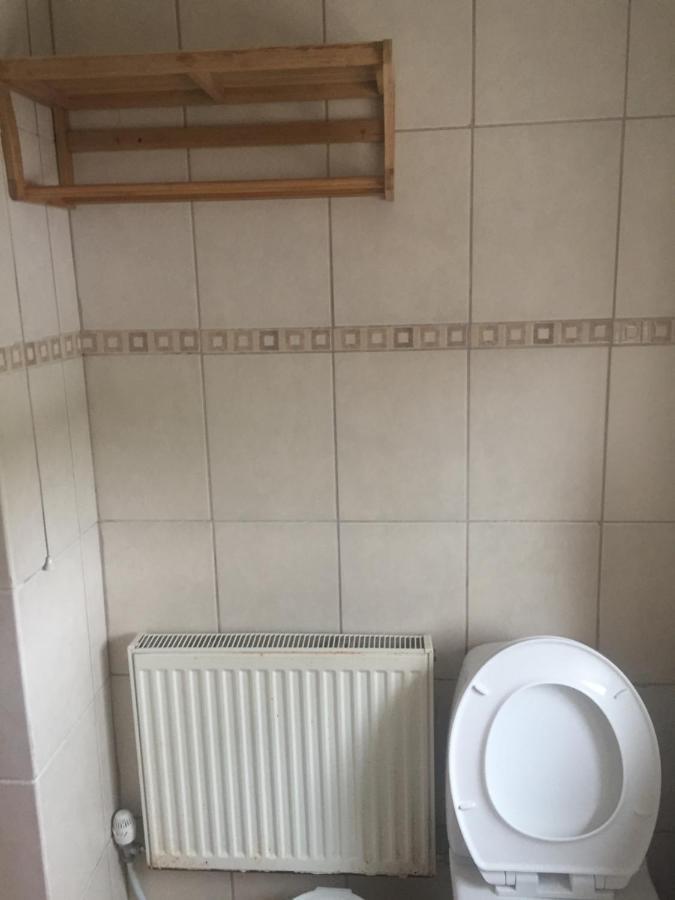 Saughy Rigg Farm Bed & Breakfast Haltwhistle Dış mekan fotoğraf